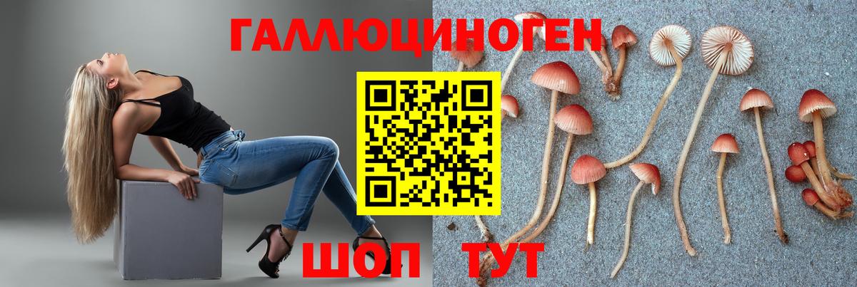 Нижний Тагил  Псилоцибиновые грибы мицелий  даркнет сайт  Вход с VPN 
